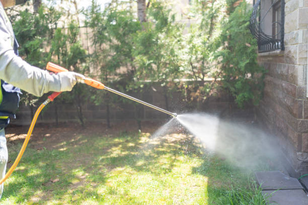 Best Pest Prevention Services  in Edgewood, PA