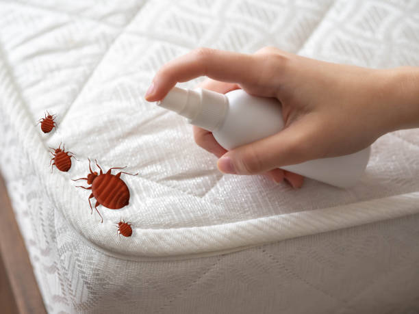 Best Residential Pest Control  in Edgewood, PA