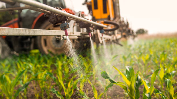 Best Commercial Pest Control Services  in Edgewood, PA